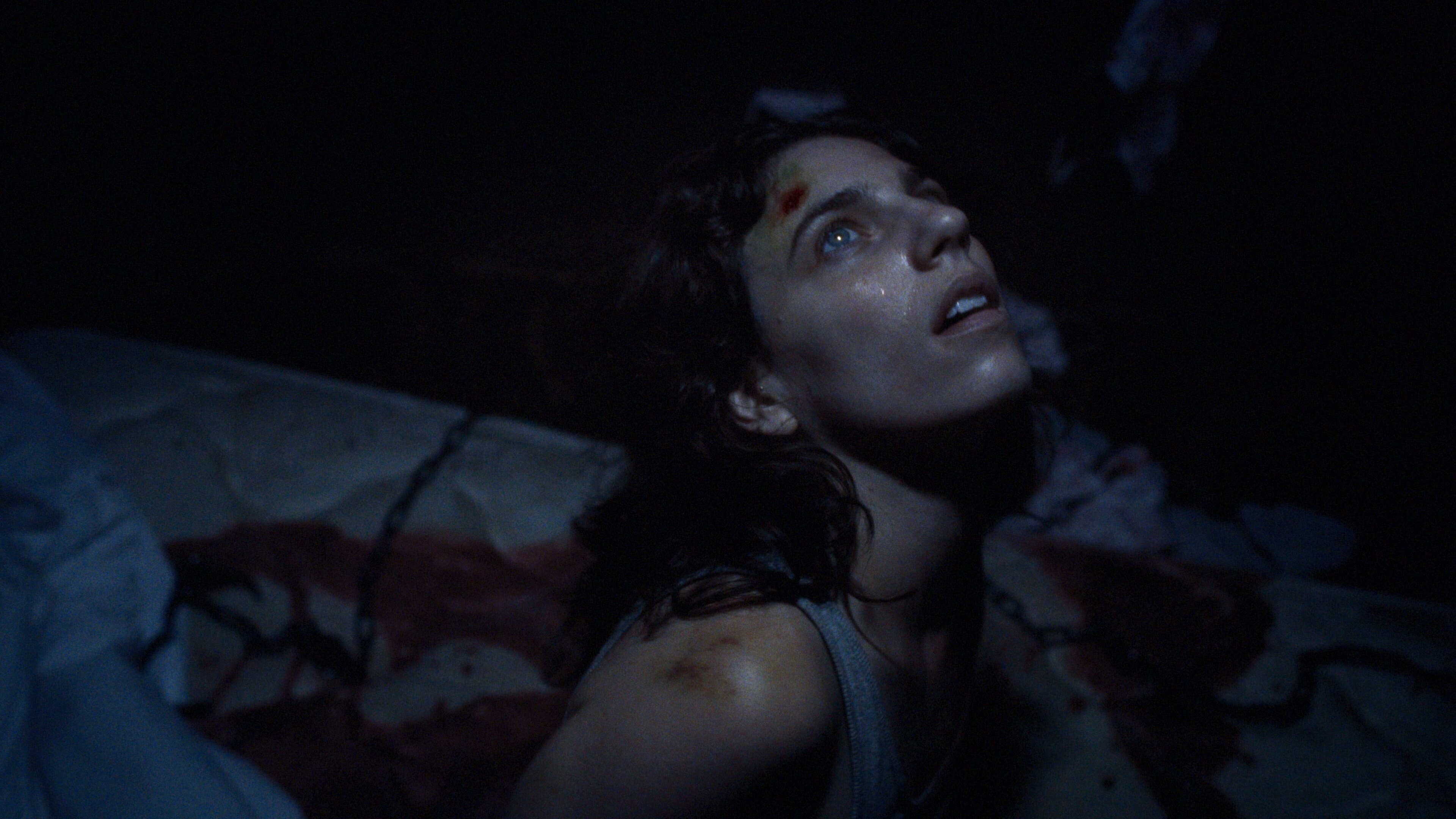 Hellcat (2025): The Thriller That Will Trap You