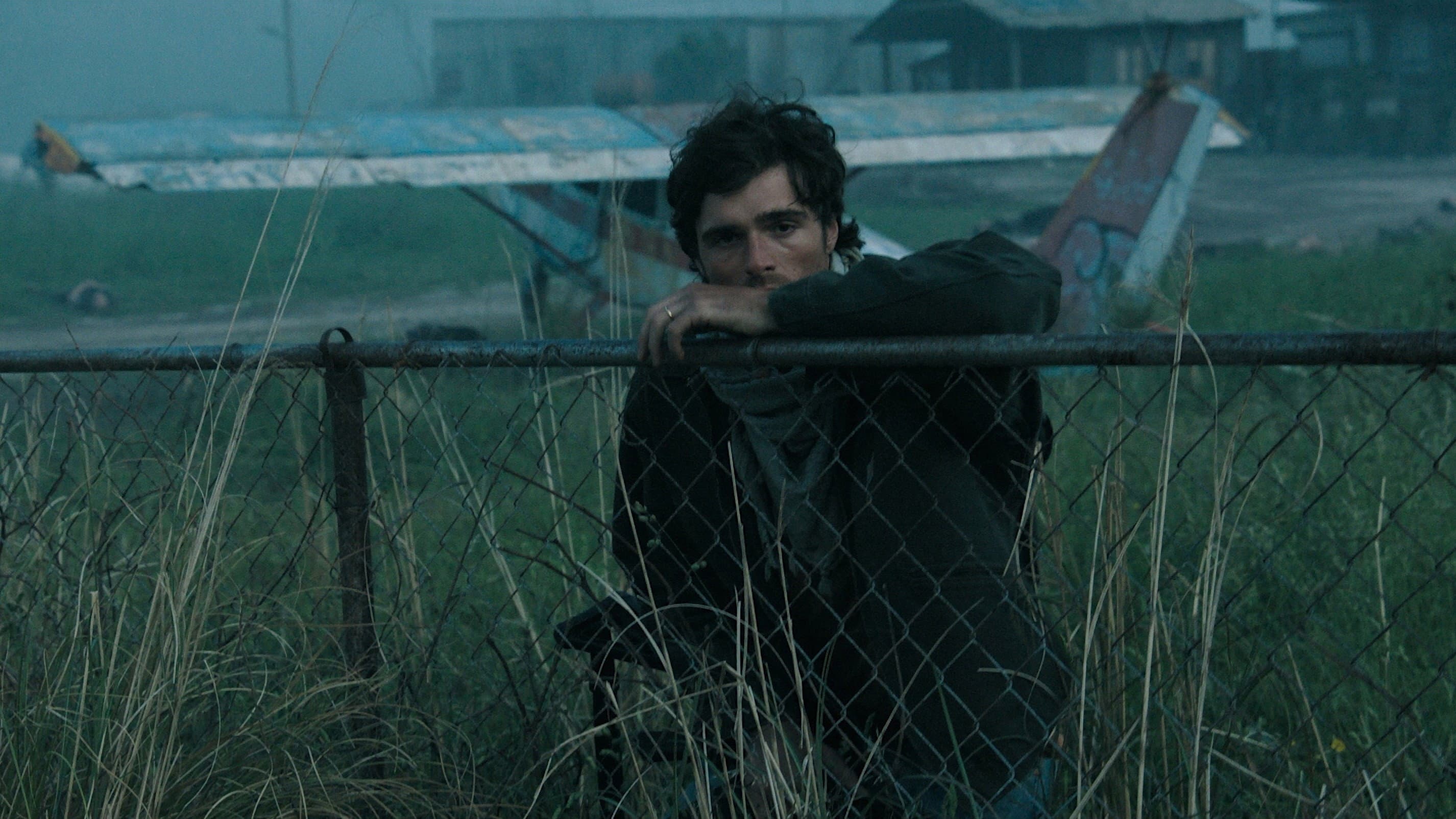 The Dog Stars Movie News: Latest Updates & Cast Info