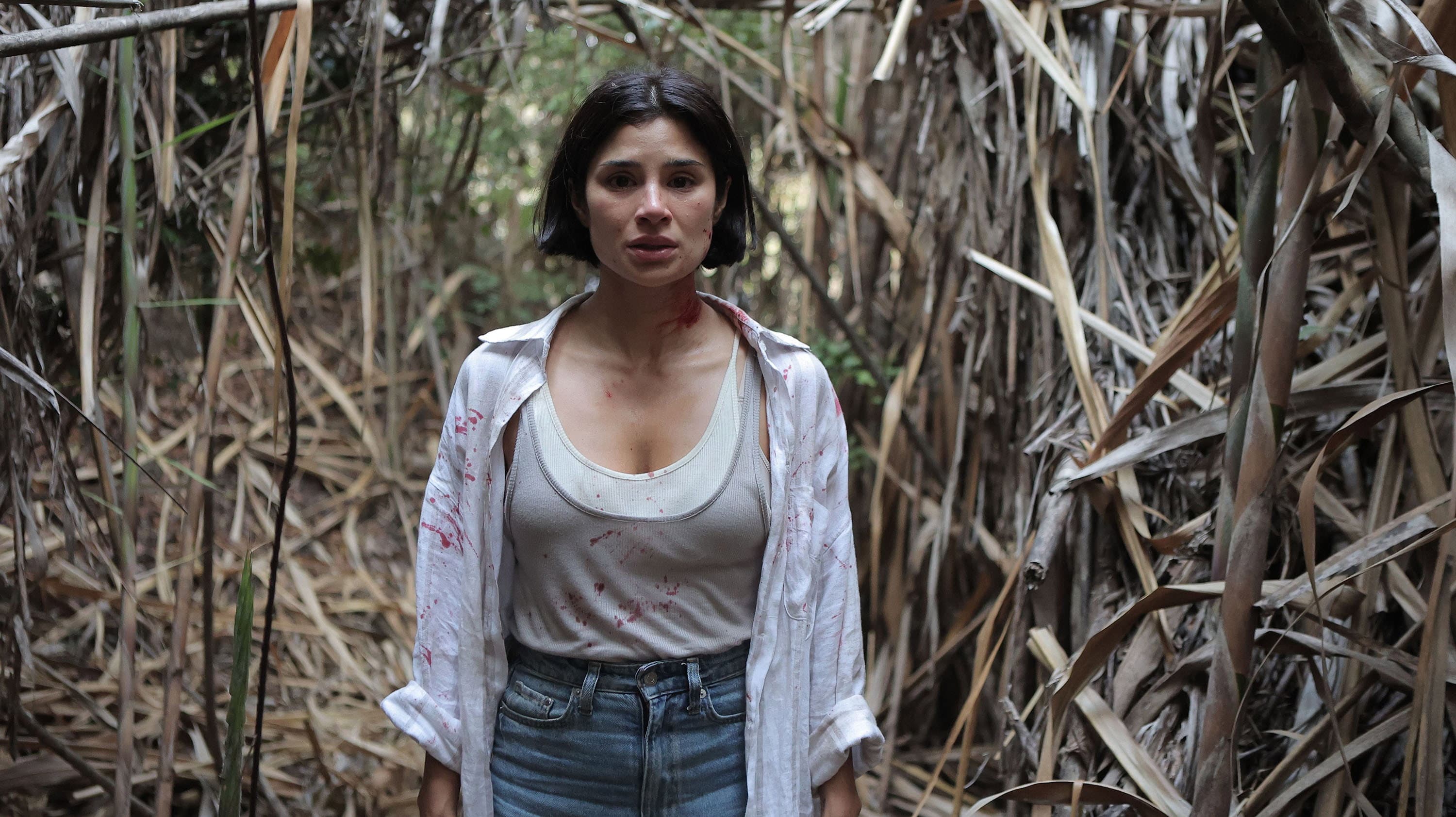 The Whistler: Diego Velasco's 2026 Grief Folk Horror