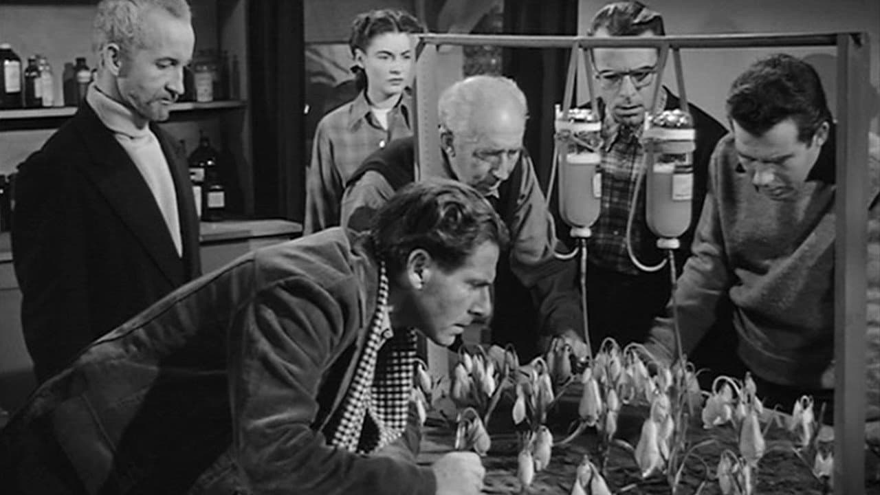 The Thing from Another World still 4