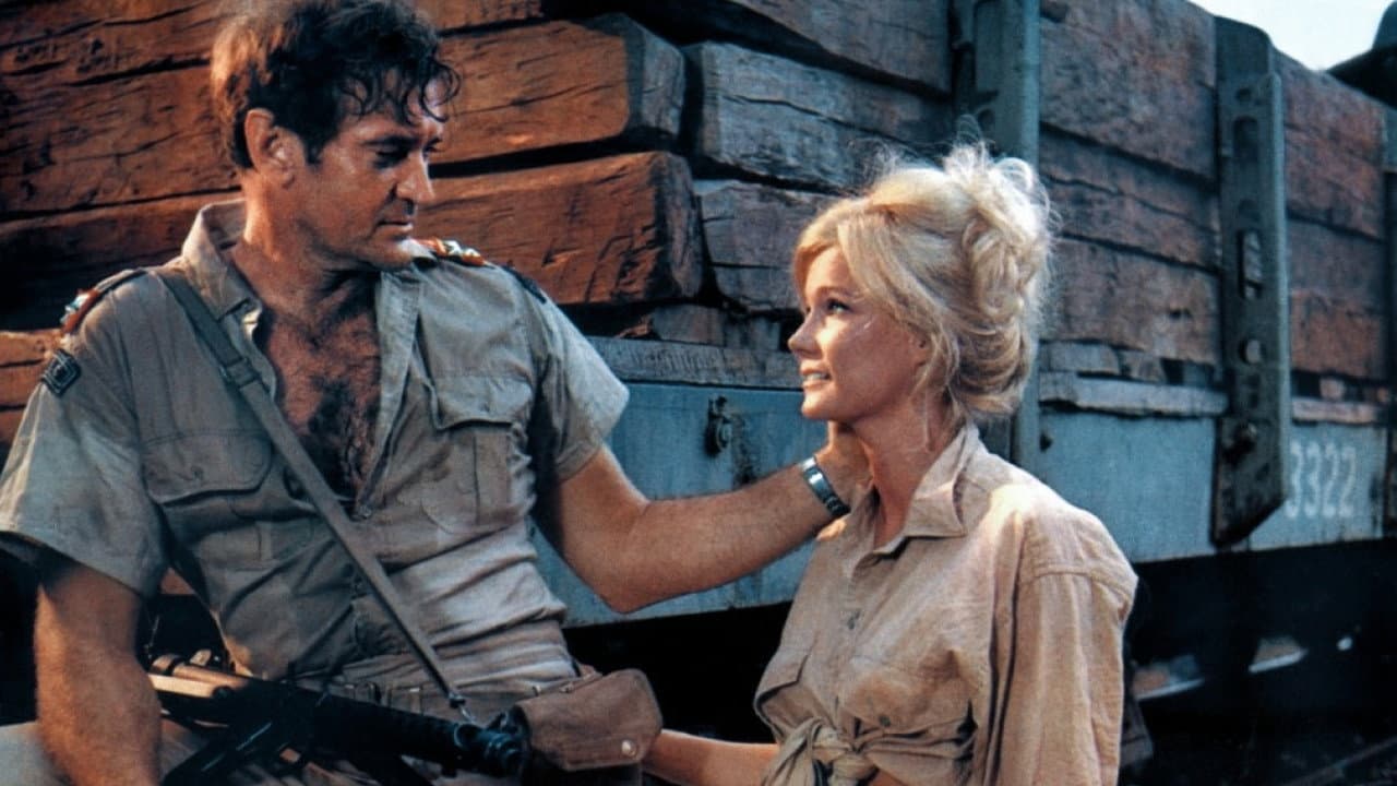 Dark of the Sun still 8