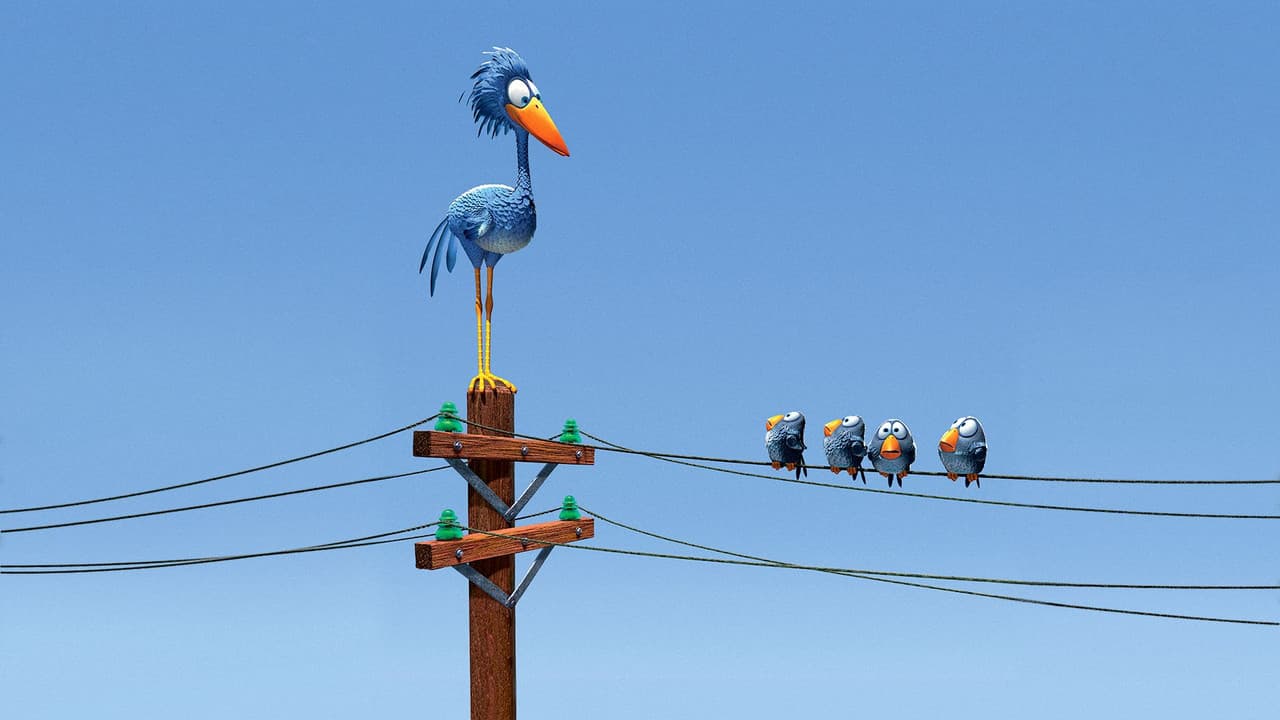 For the Birds still 3