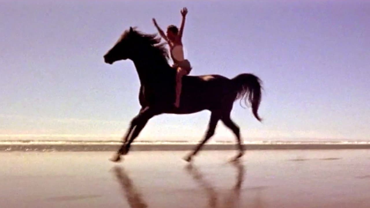 The Black Stallion still 8