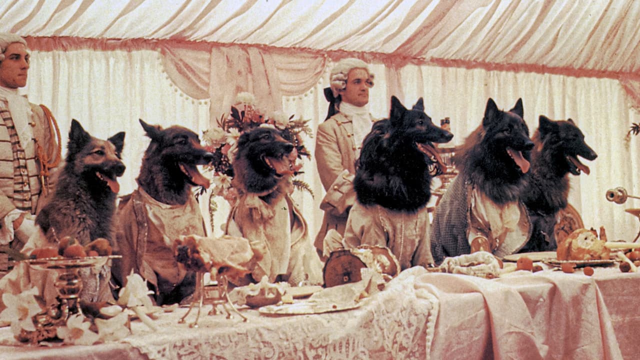 The Company of Wolves still 1
