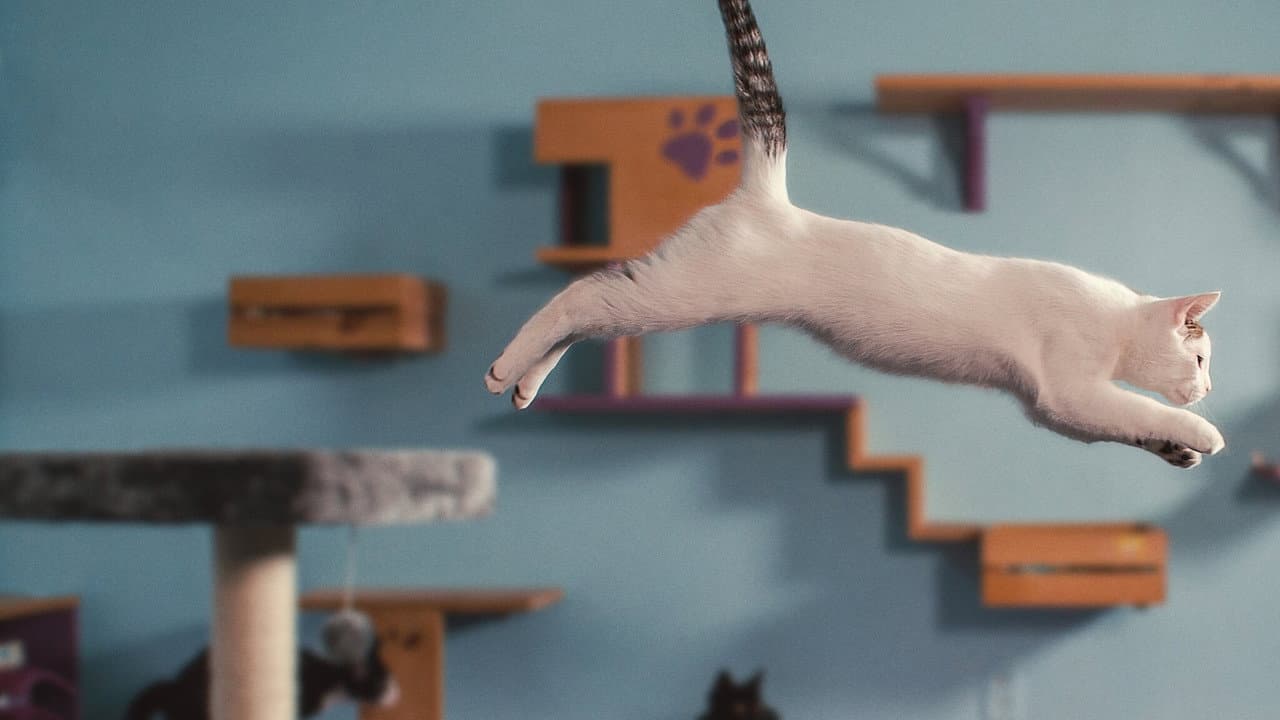 Inside the Mind of a Cat still 3