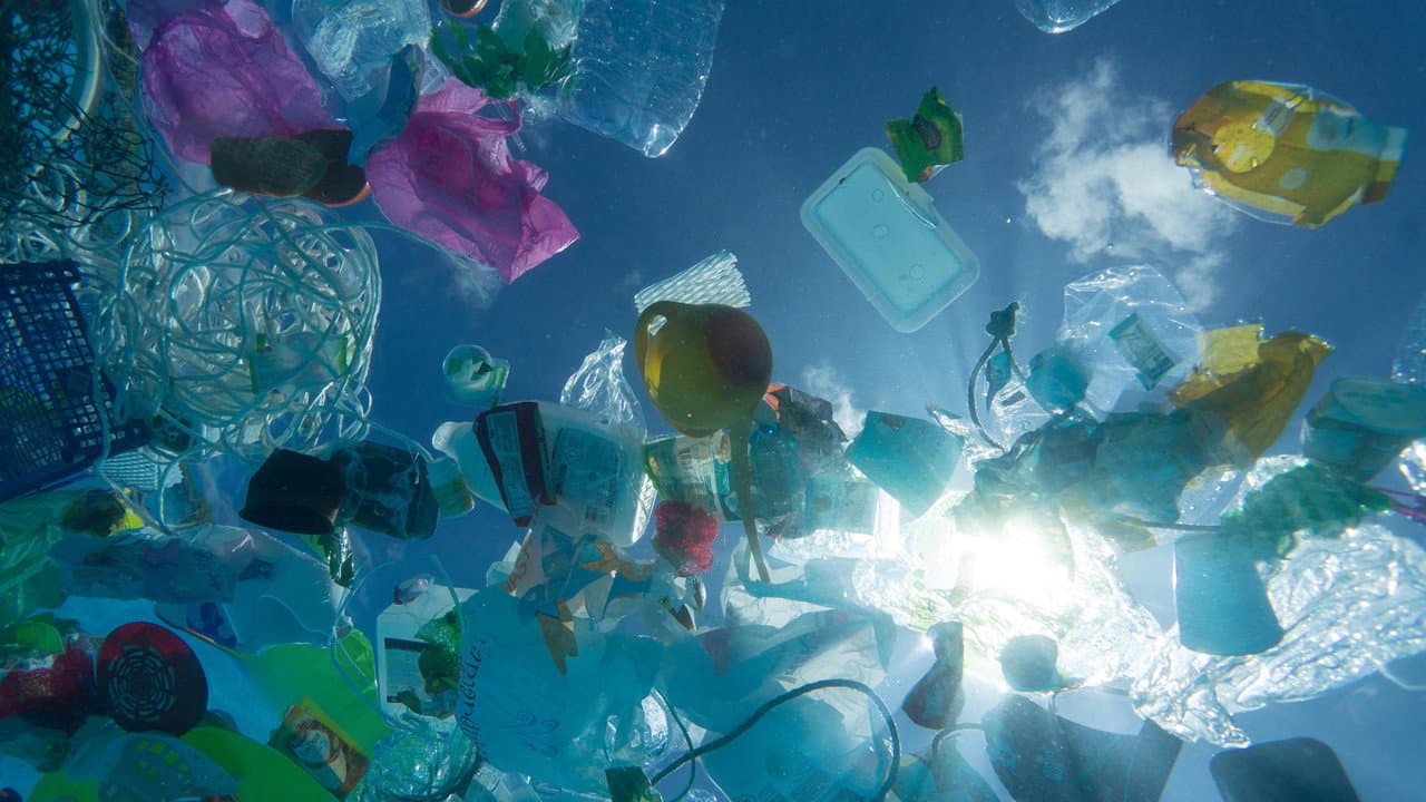 A Plastic Ocean still 4