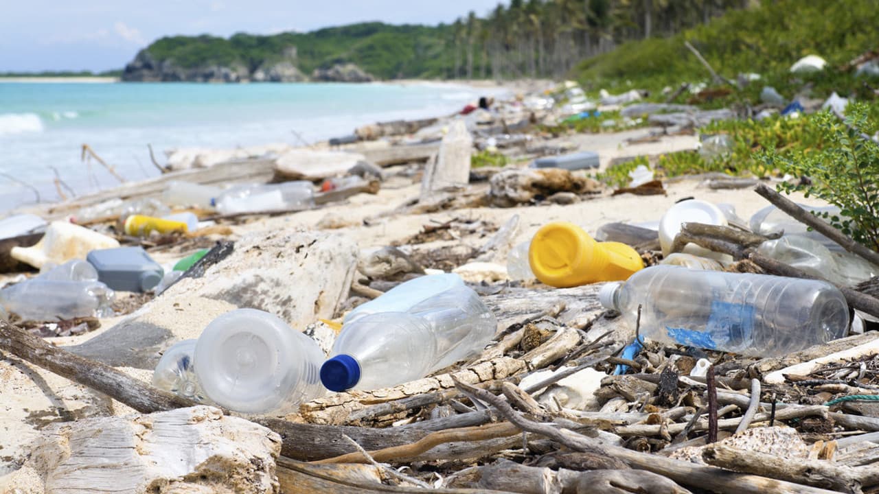 A Plastic Ocean still 5