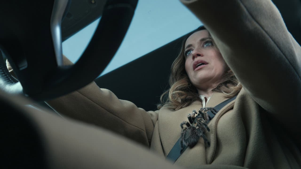 Hypnotic still 3