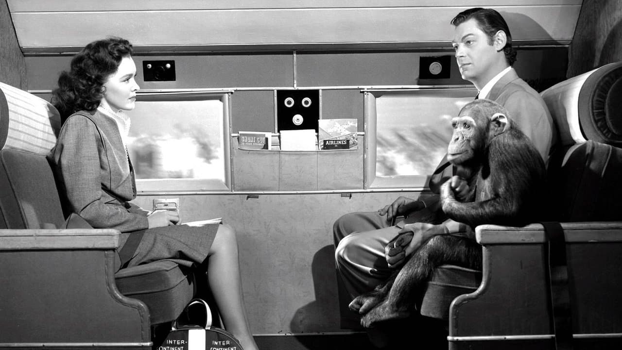 Tarzan's New York Adventure still 1
