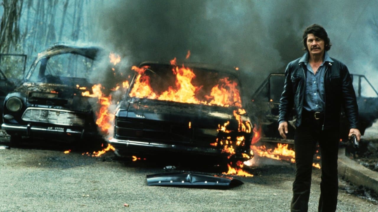 The Mechanic still 4