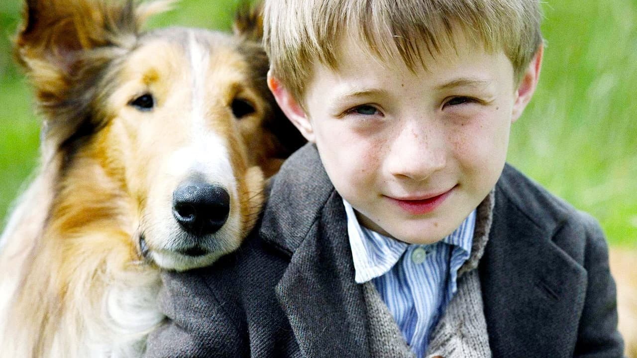 Lassie still 2