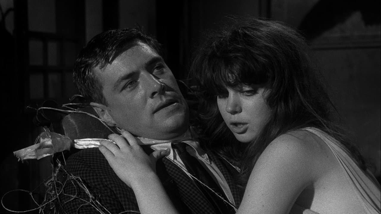Spider Baby still 1