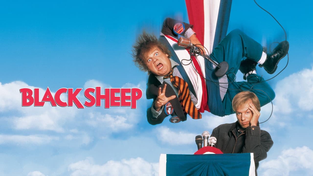 Black Sheep still 1