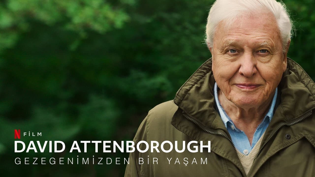 David Attenborough: A Life on Our Planet still 5