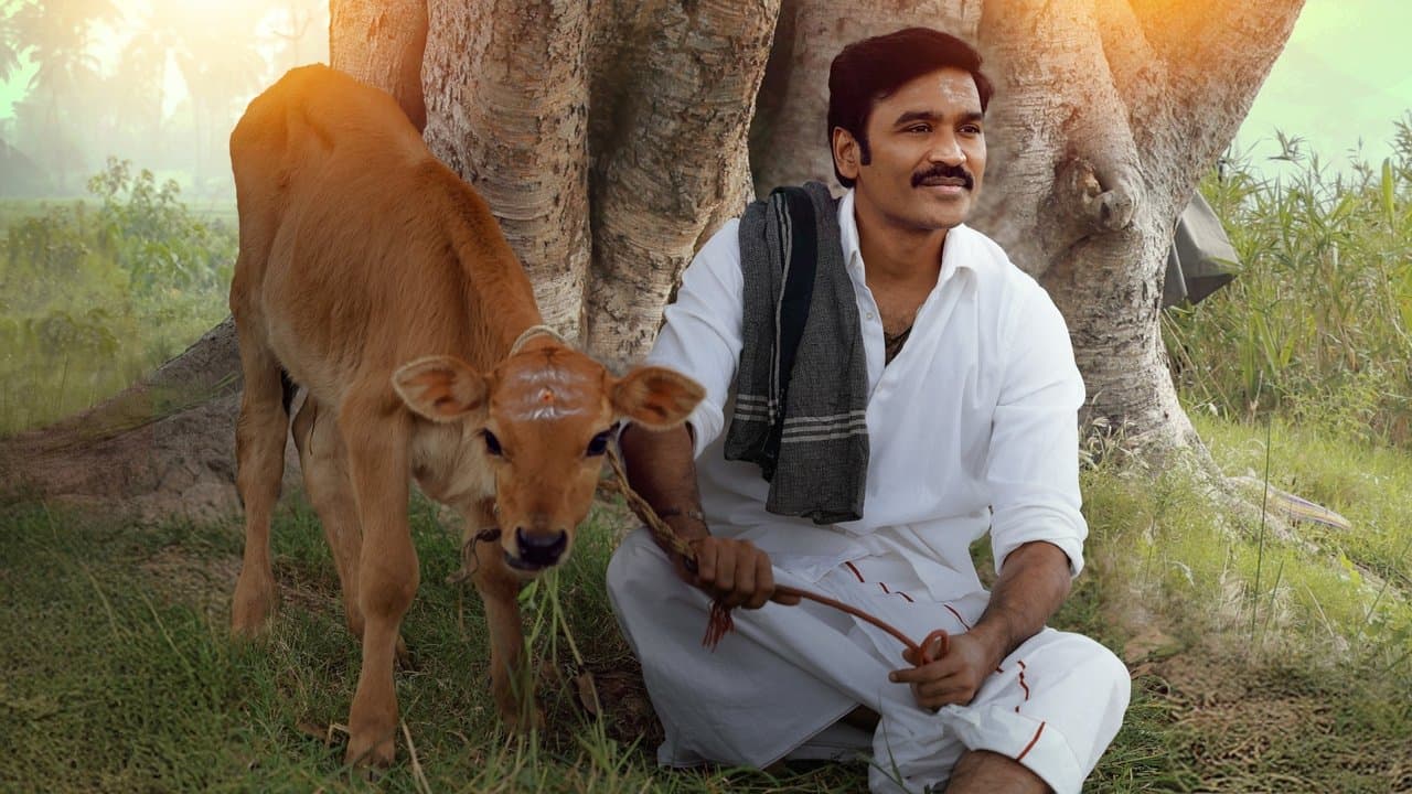 Idli Kadai still 1
