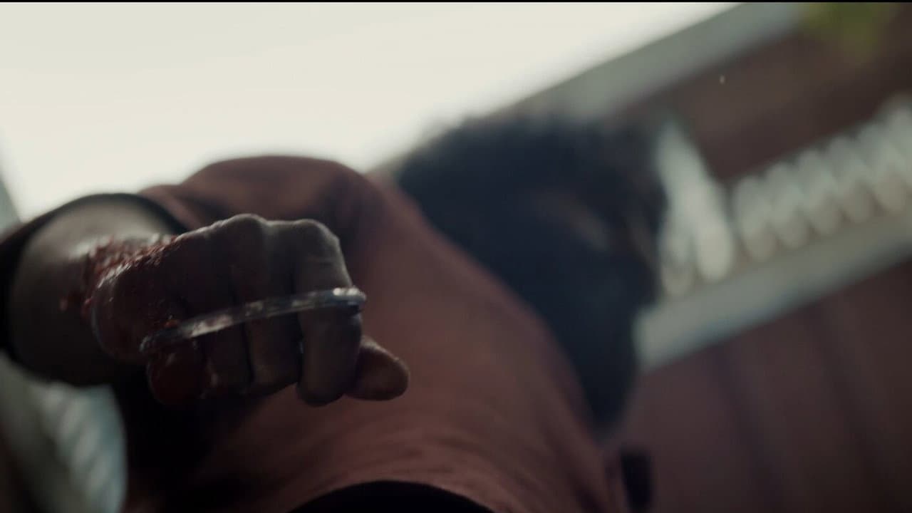 DC still 7