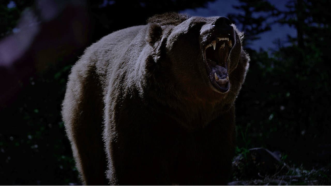 Grizzly Night still 6