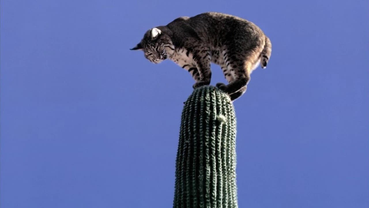 The Living Desert still 8