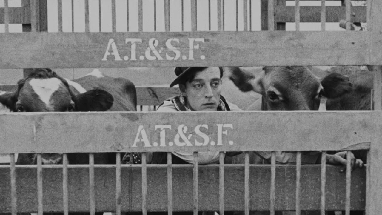 Go West still 6