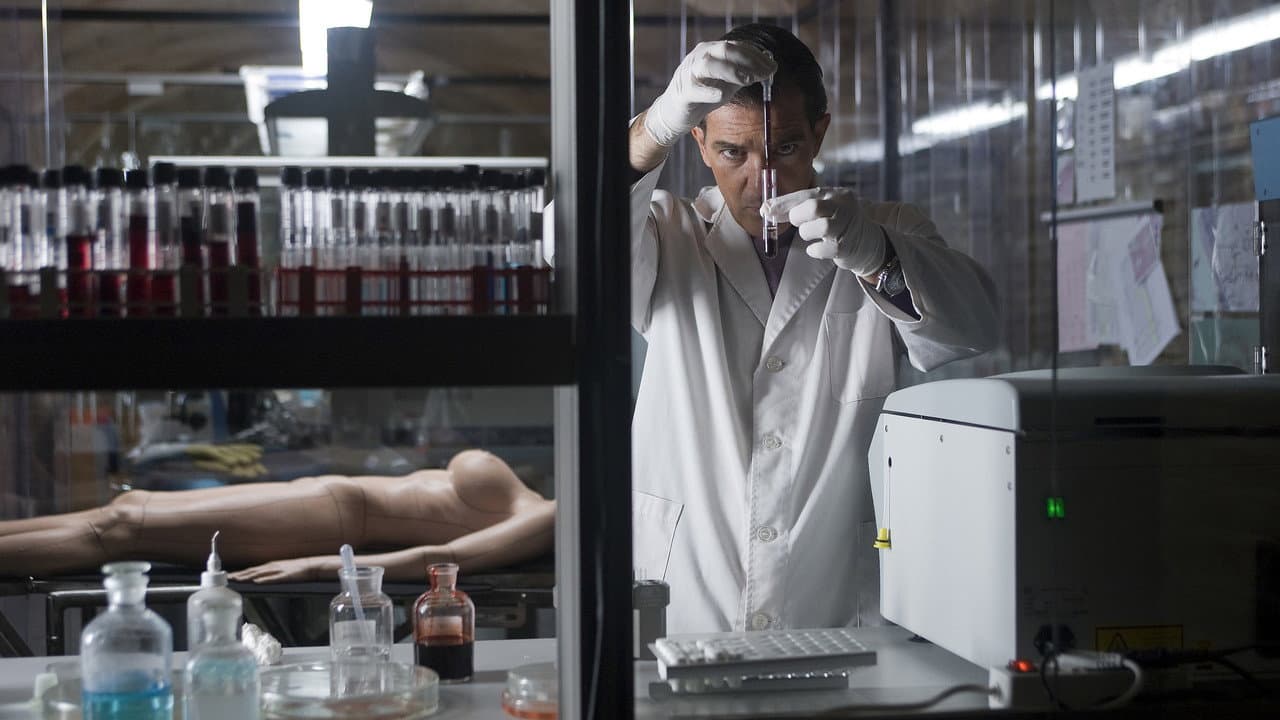 I Live in V.I. (2011) - Almodóvar Film News still 5