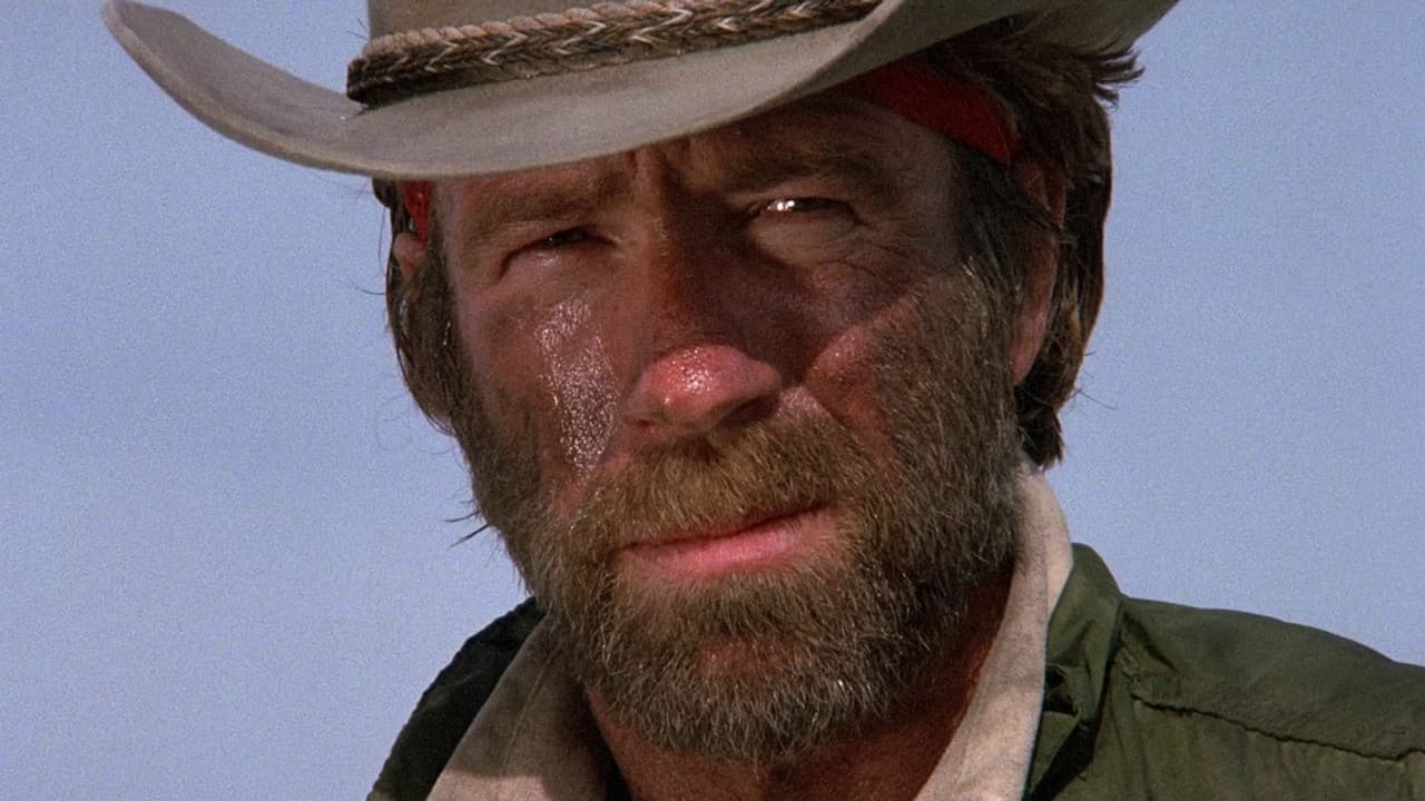 Lone Wolf McQuade still 8
