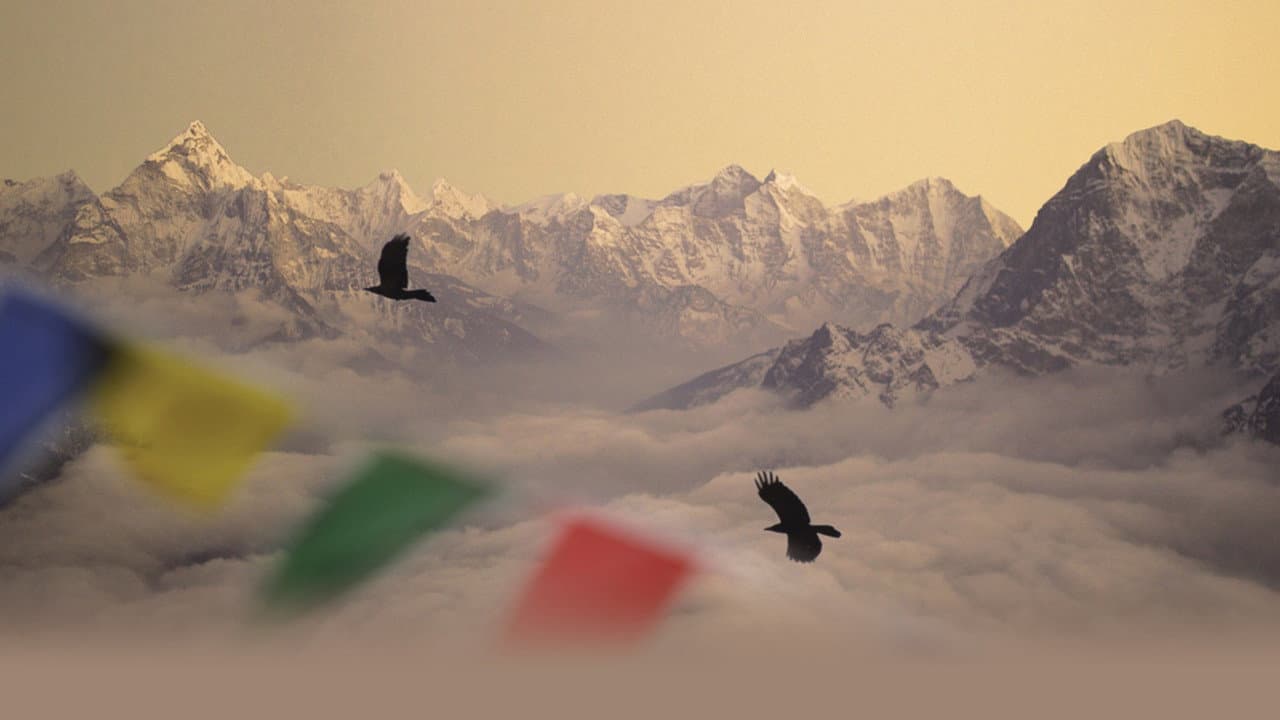 Sherpa still 4