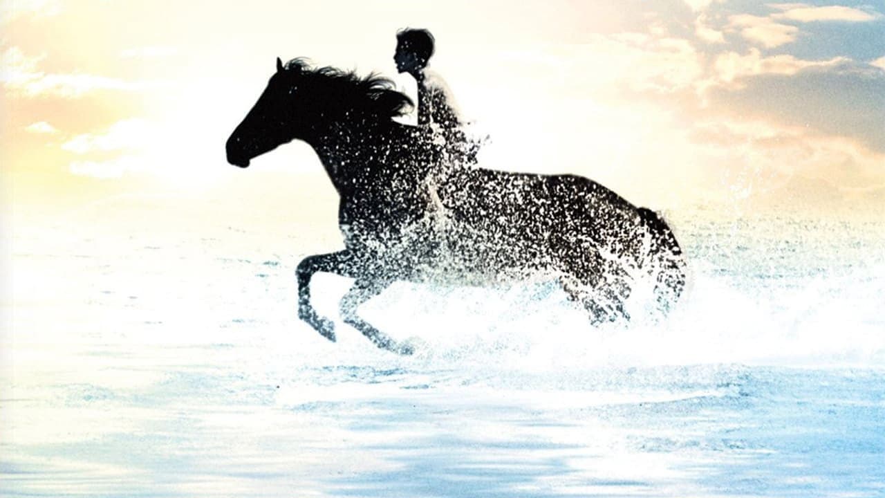 The Black Stallion still 3