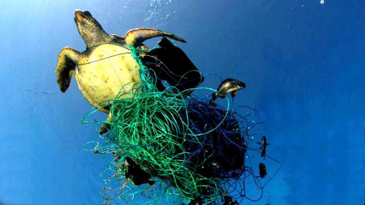 A Plastic Ocean still 3
