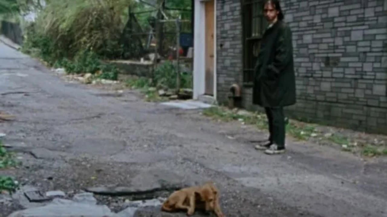 Combat Shock still 7