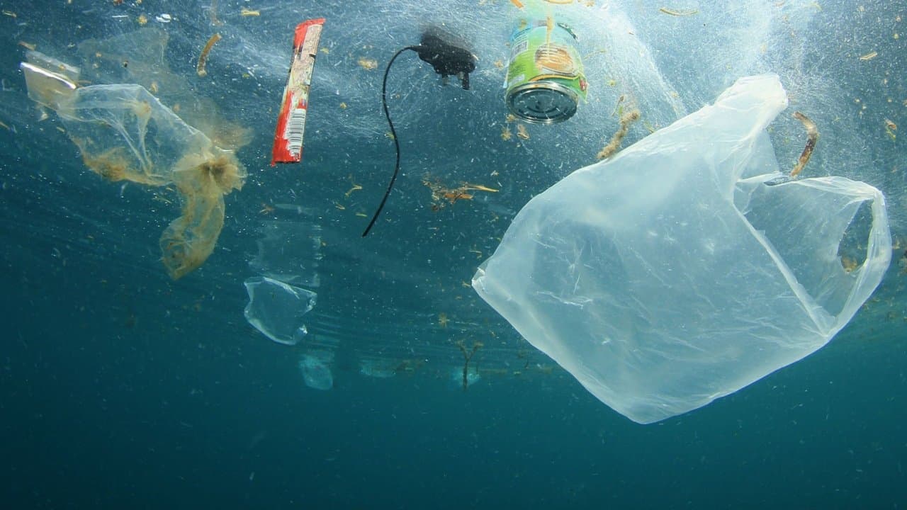 A Plastic Ocean still 2
