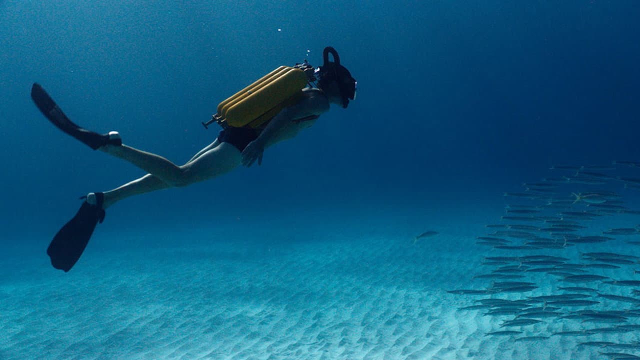 The Odyssey (2016) - French Ocean Adventure Film News still 5