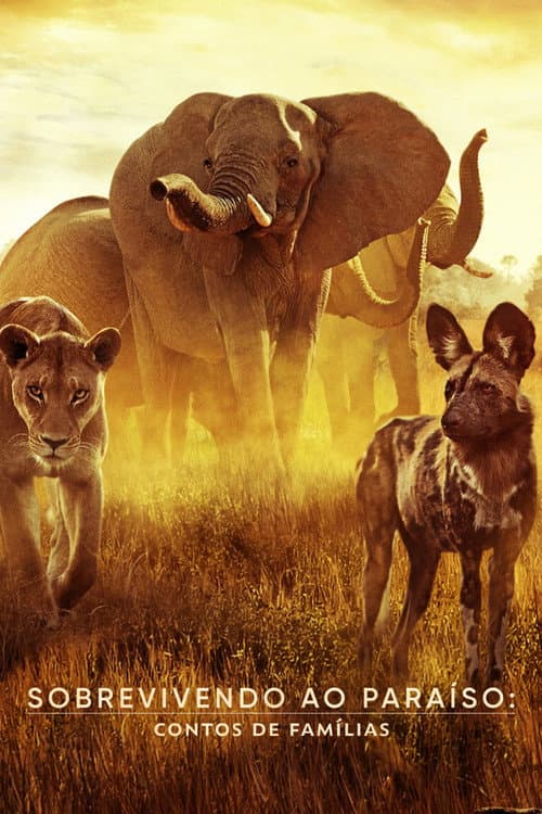 Surviving Paradise: A Family Tale still 8