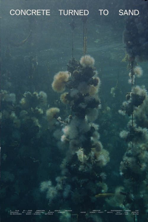 Concrete Turned to Sand: First Clip From 2026 Doc still 2