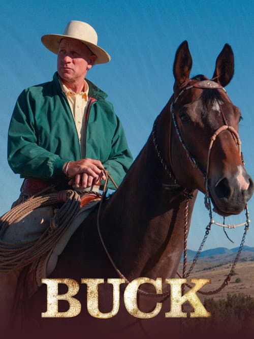 Buck still 7