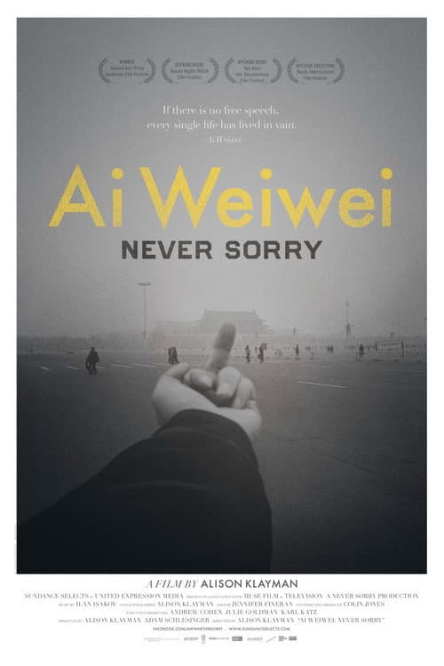Ai Weiwei: Never Sorry still 7