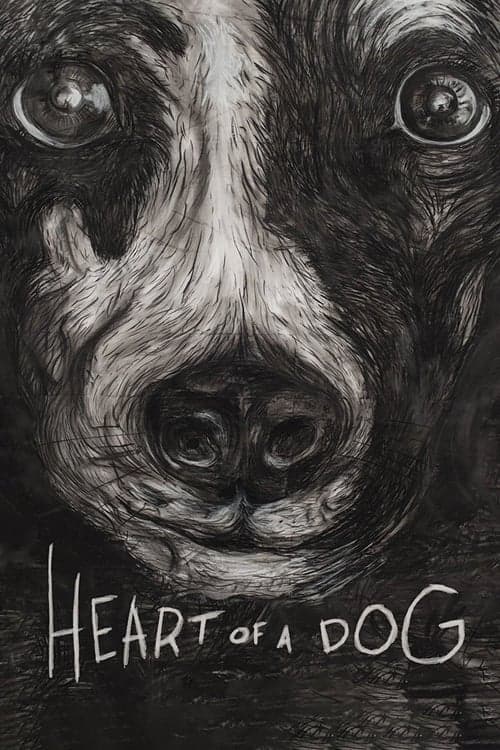 Heart of a Dog still 7