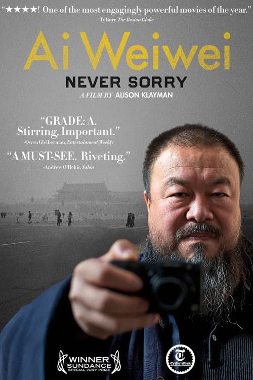 Ai Weiwei: Never Sorry still 6