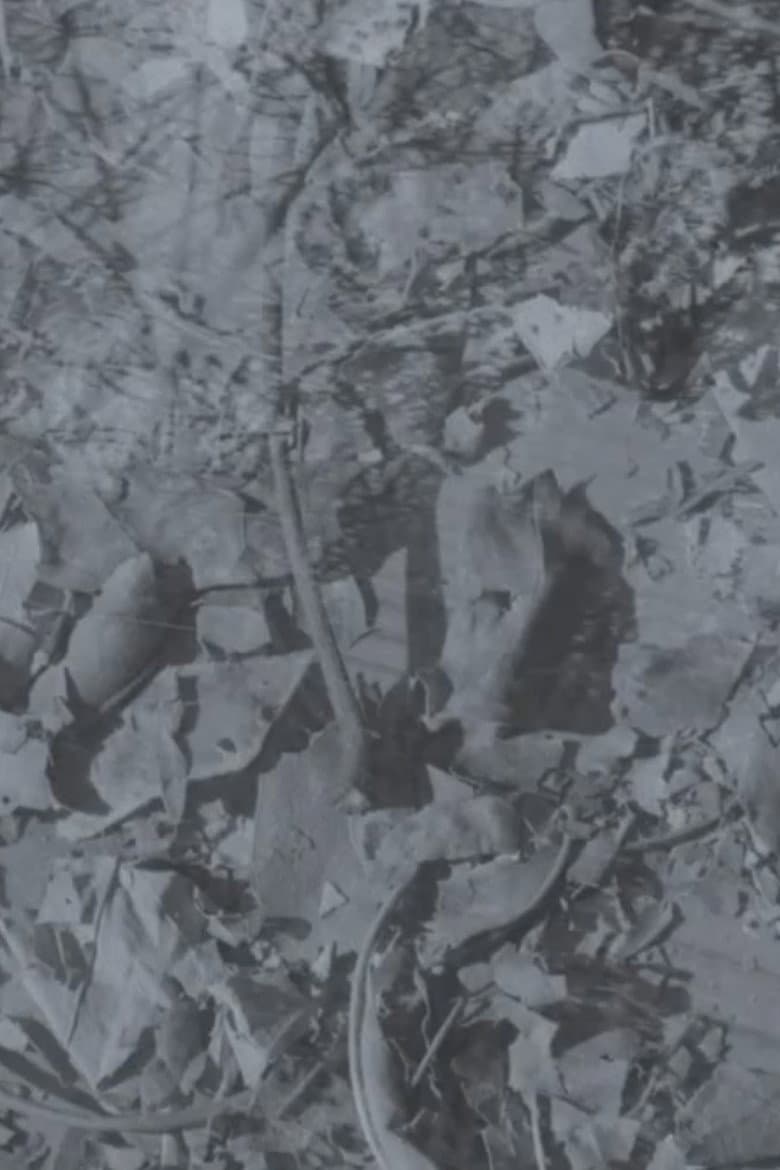 Autumns Decay: Mysterious Film Preview & What We Know