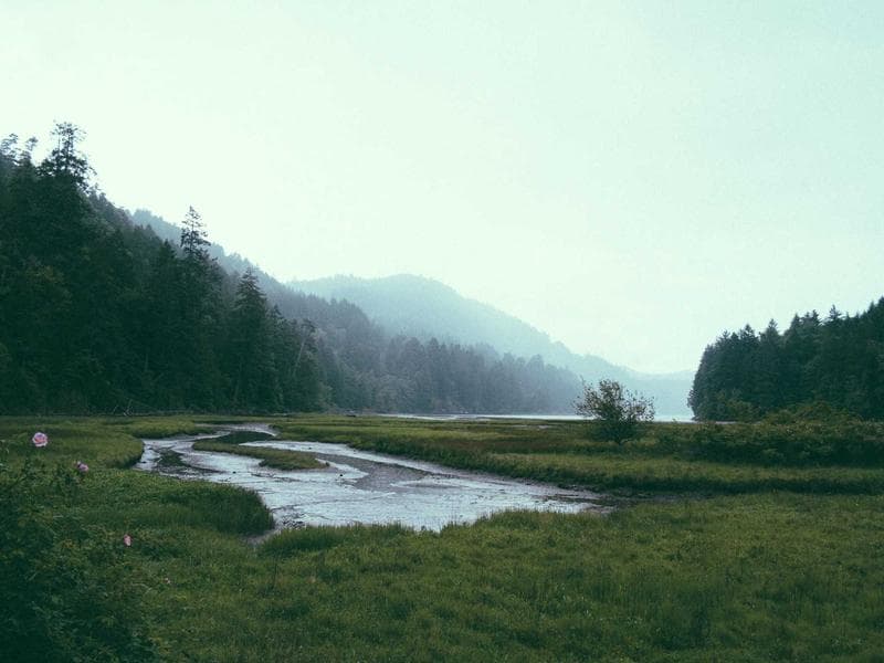 Locarno Pro Tackles AI, Algorithms & Creative Freedom