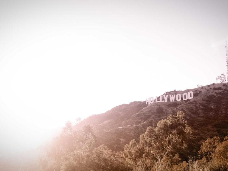 Wild Dogs Don't Bite Preview: A Riveting New Film