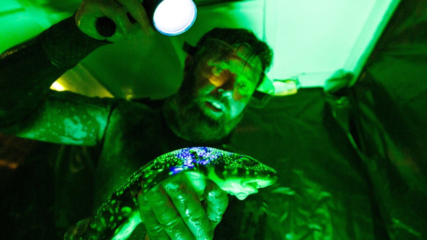 Alien Sharks: Untamed America Preview - Deep Sea Dangers