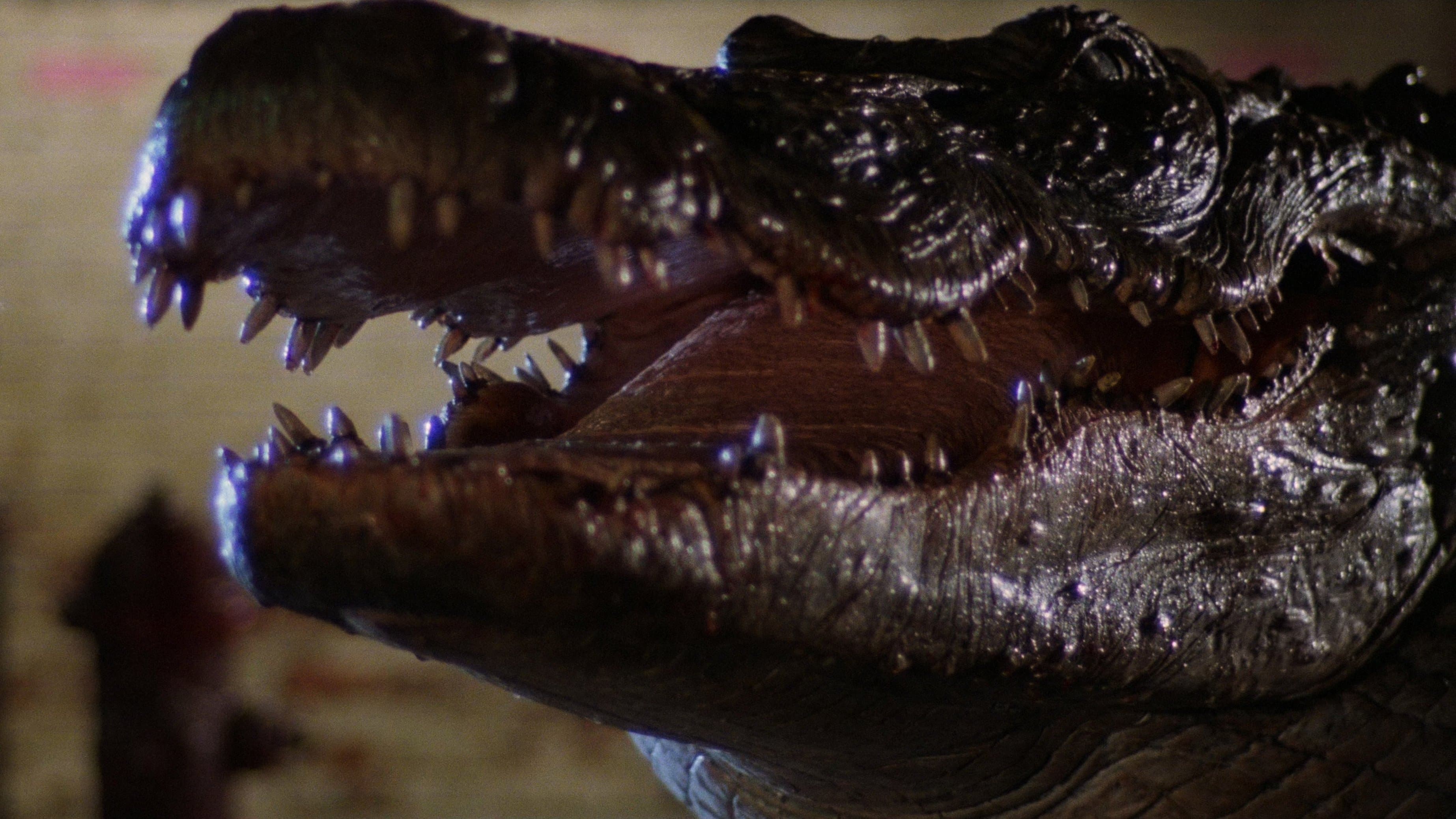 Alligator (1980) Movie Preview - Vengeance Unleashed