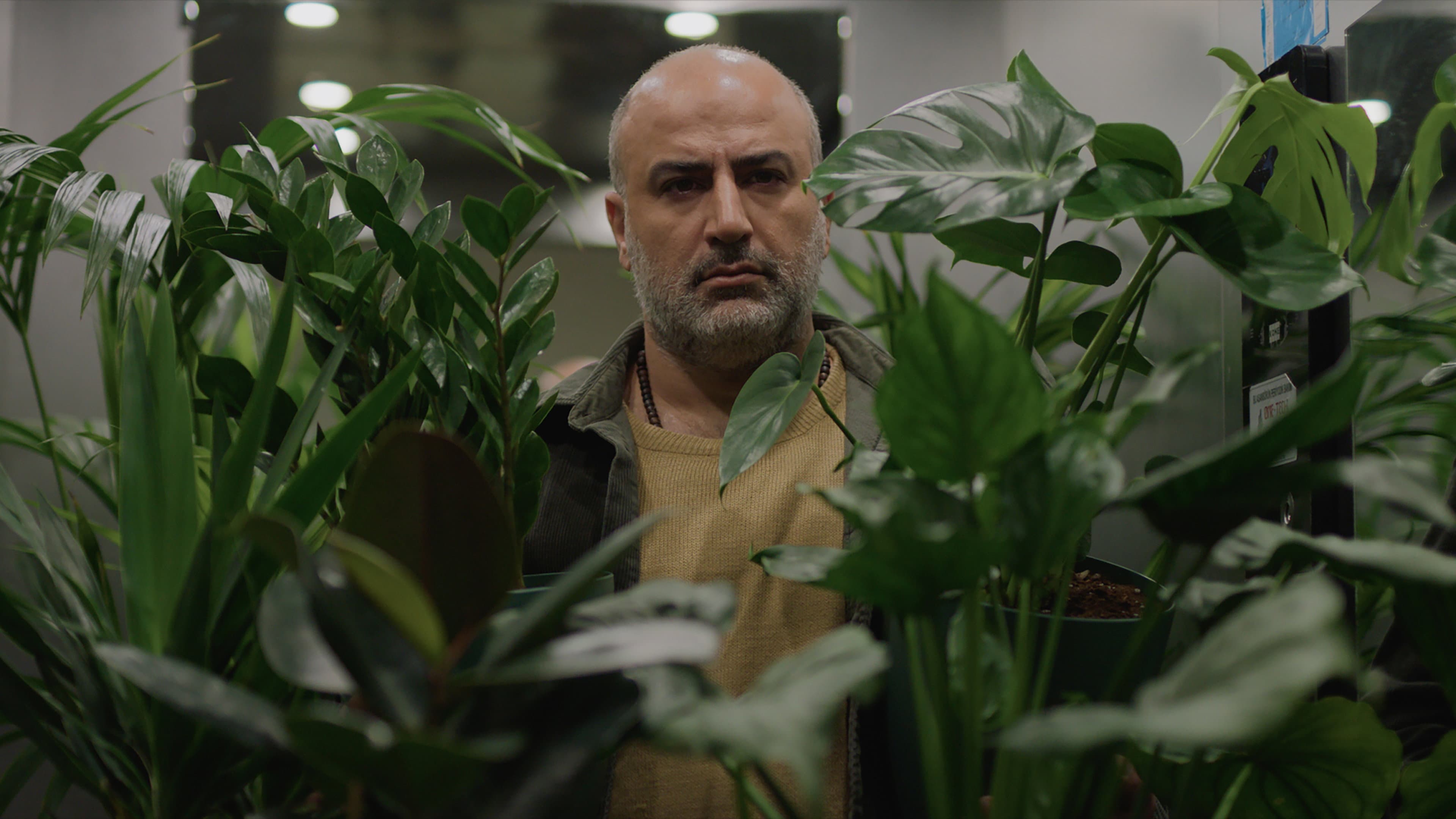 A Bit of Light (2026) News - Ali Asgari Film