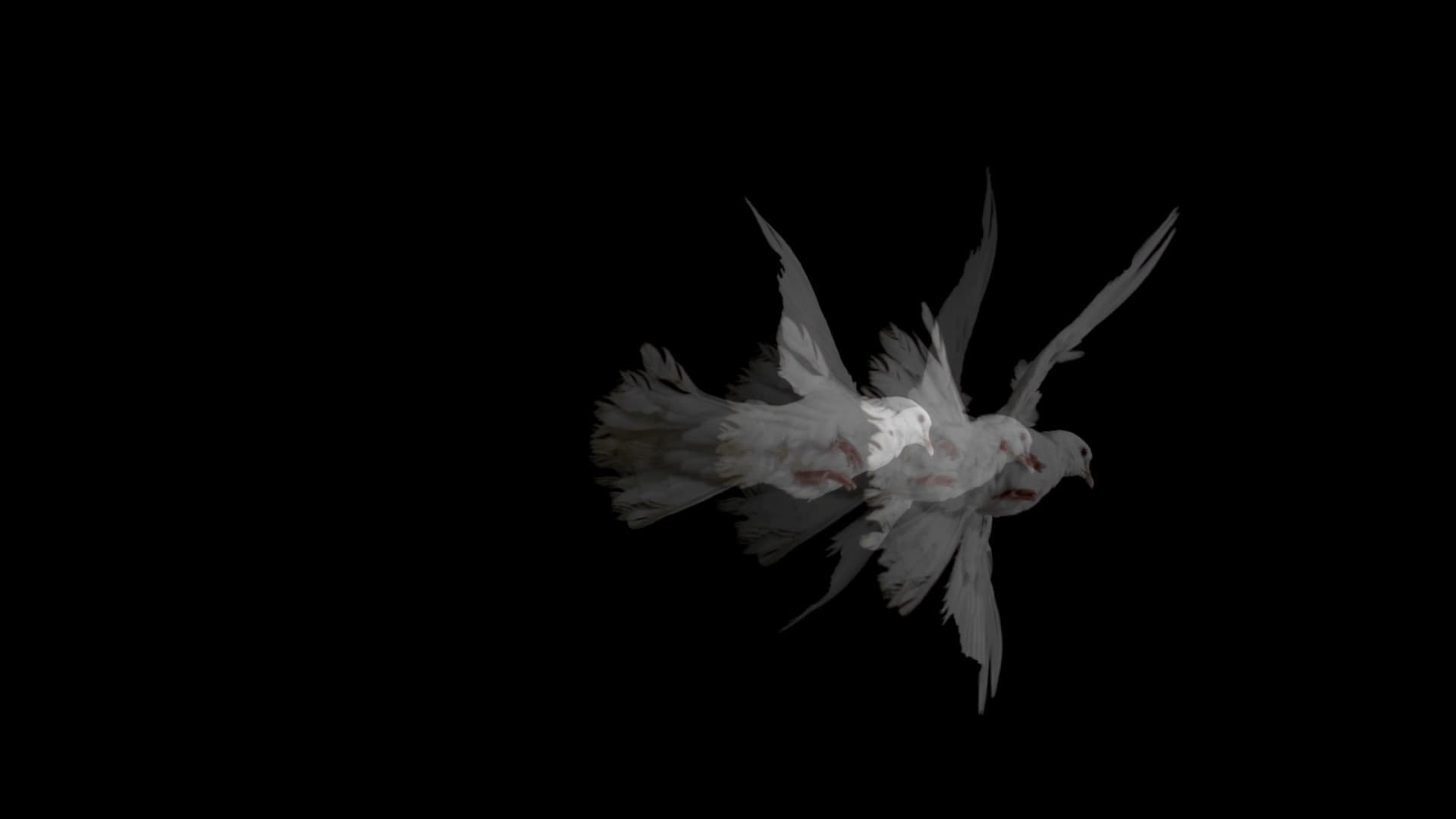 Doves: Loss of Love & Desensitized Grief | Arslan Deura