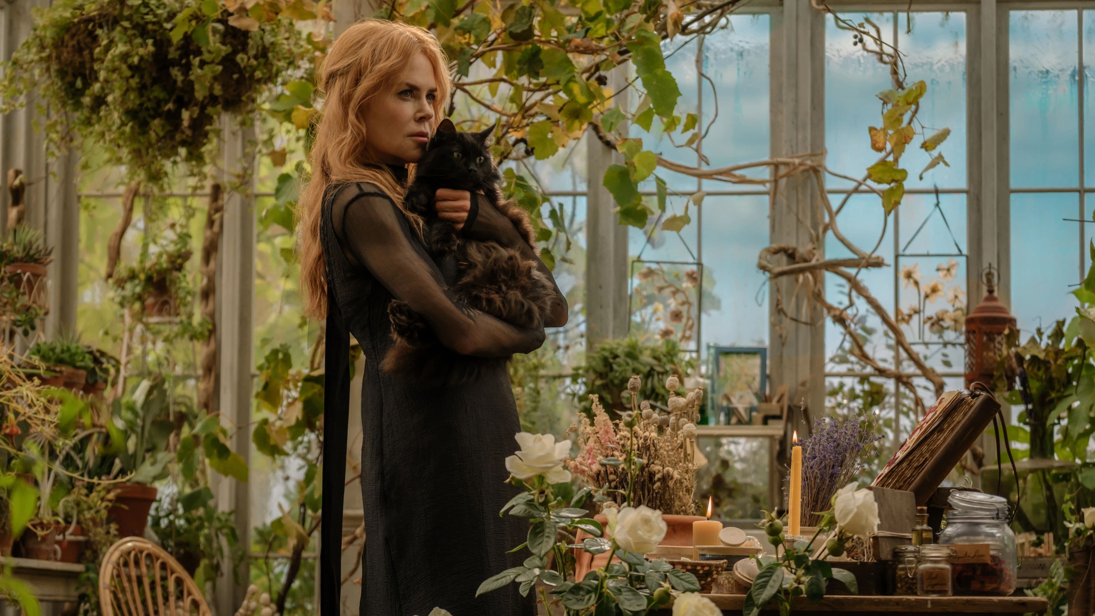 Practical Magic 2: Sequel Confirmed - What We Know So Far