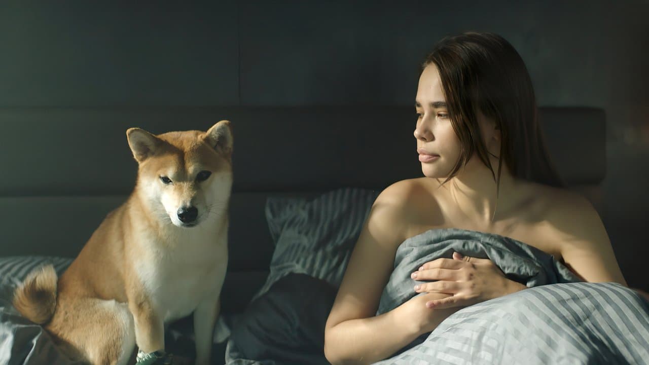 Naughty Movie News: Latest Updates, Cast & Release Info still 6