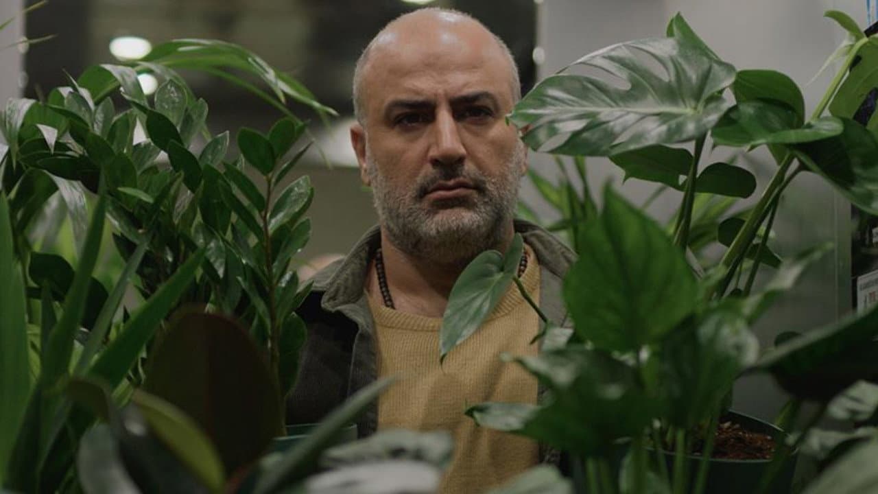 A Bit of Light (2026) News - Ali Asgari Film still 2