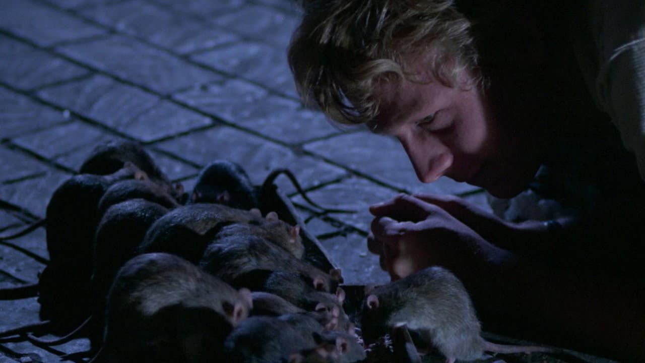 Willard still 3
