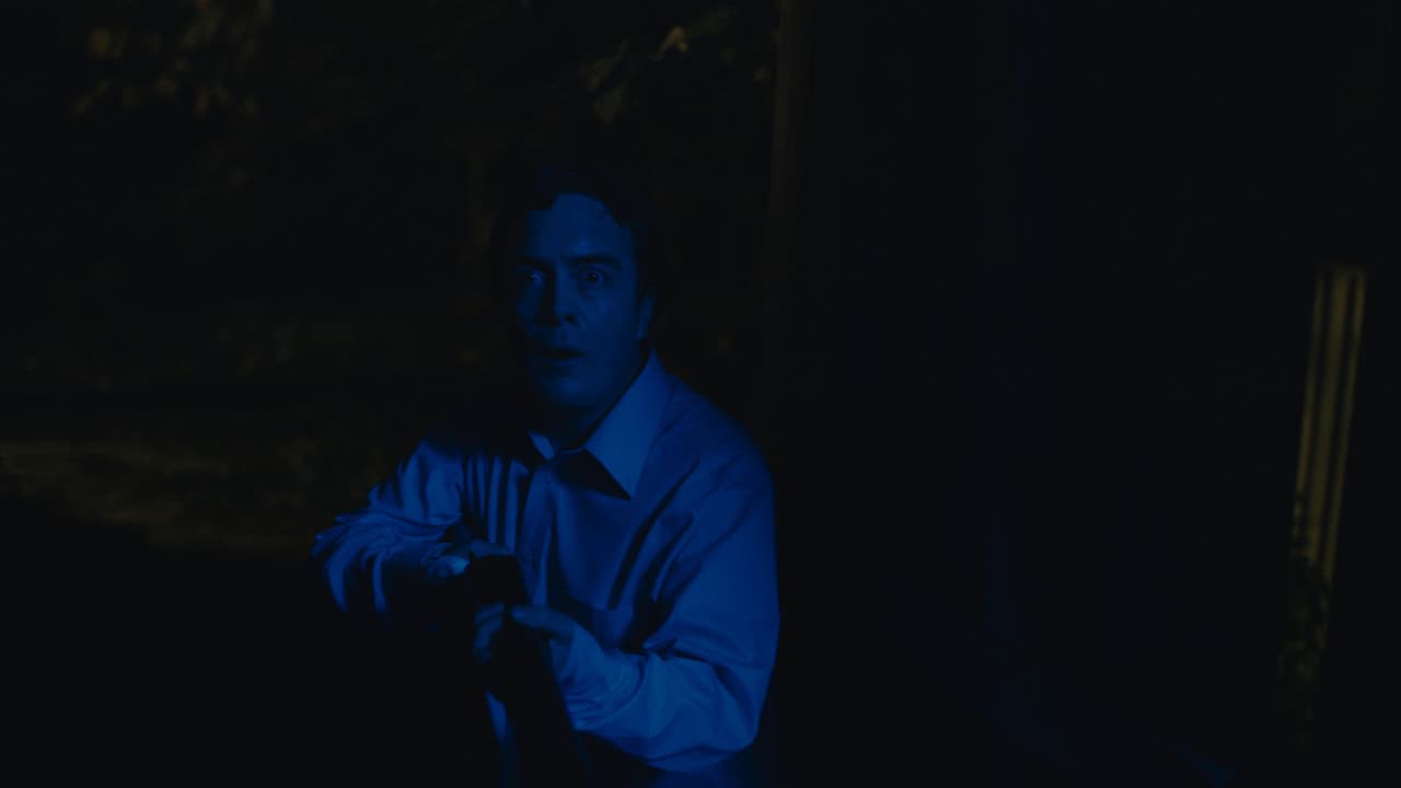 Blue Ruin still 4