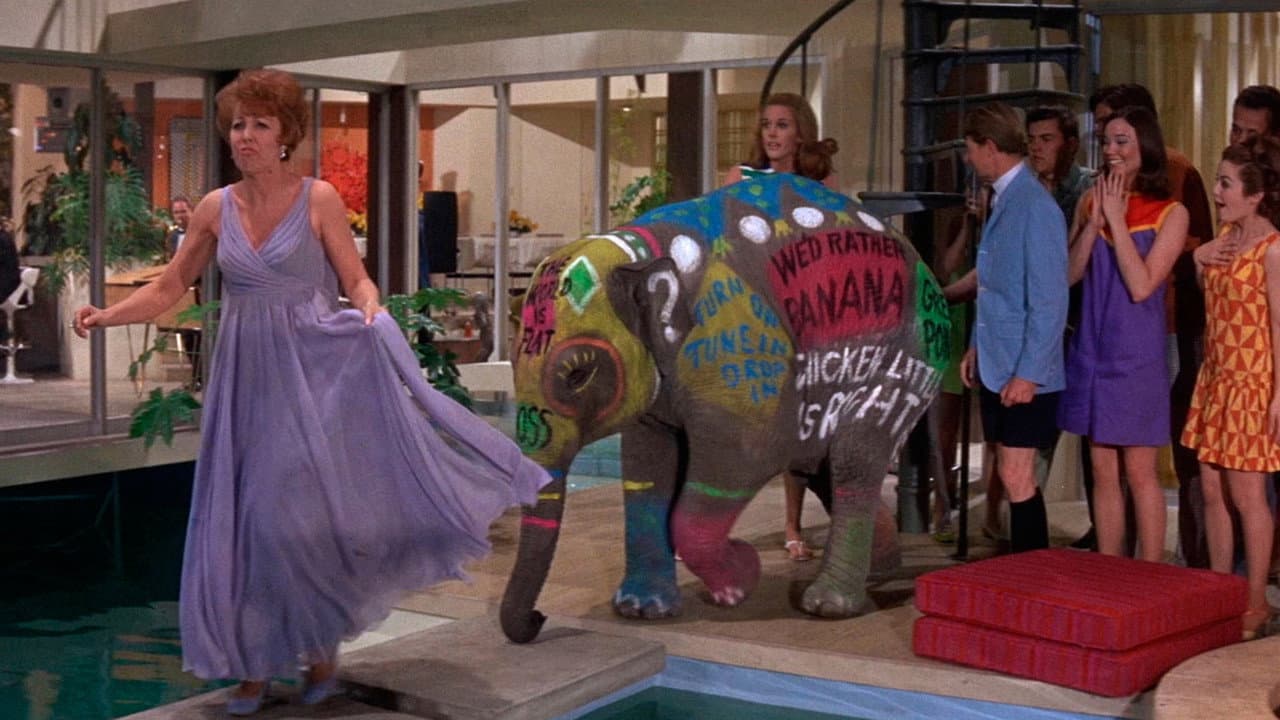 The Party still 7